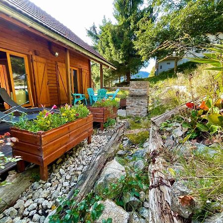 Chalet Des Feignes 拉布雷斯 外观 照片