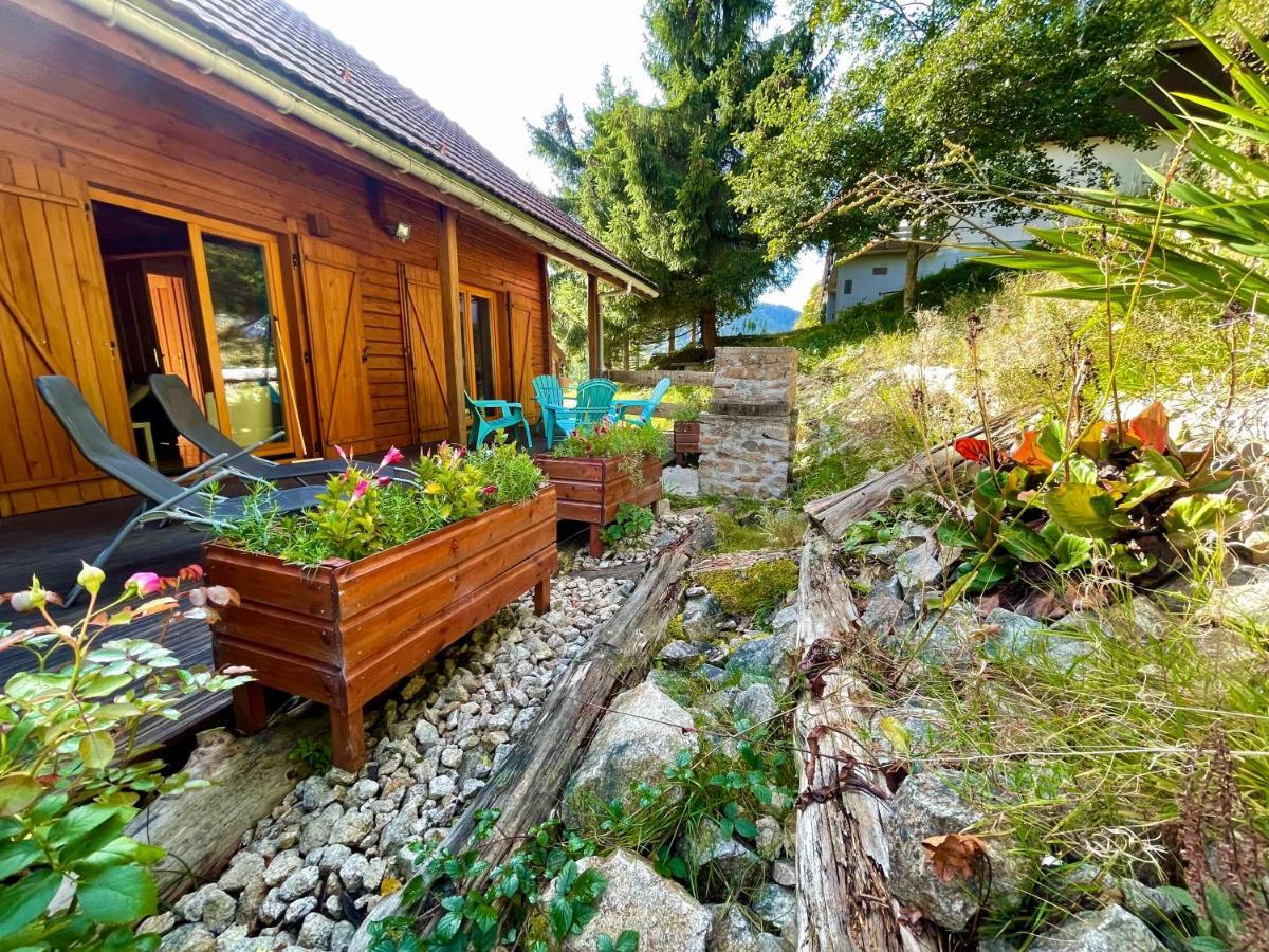 Chalet Des Feignes 拉布雷斯 外观 照片