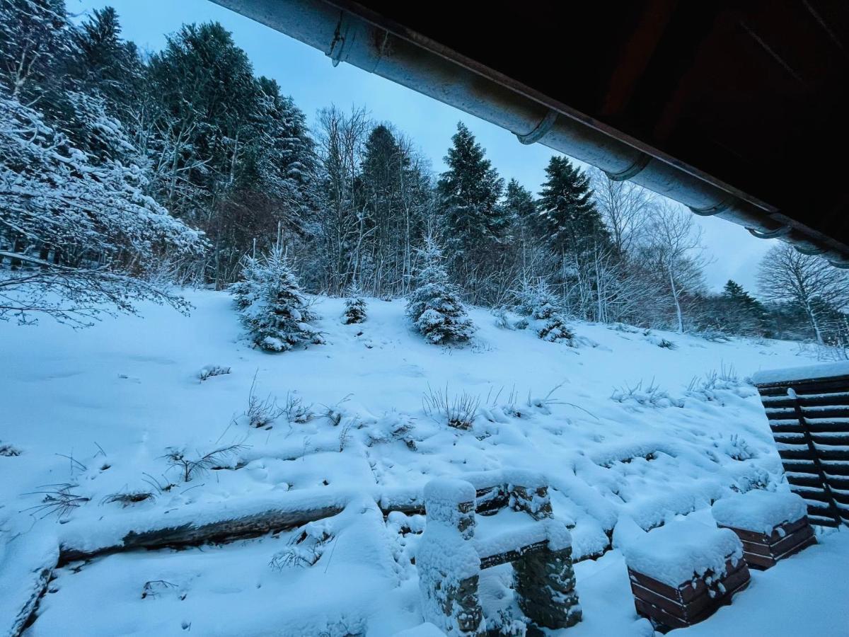 Chalet Des Feignes 拉布雷斯 外观 照片